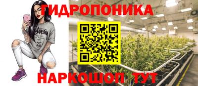 стаф Пыть-Ях
