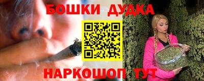 МДПВ Пушкино