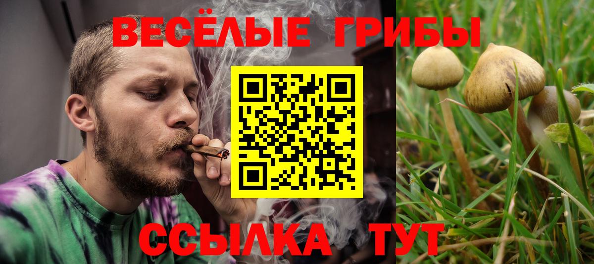 Галлюциногенные грибы мицелий  даркнет сайт  Вход с VPN  Алейск  Псилоцибиновые грибы Cubensis 