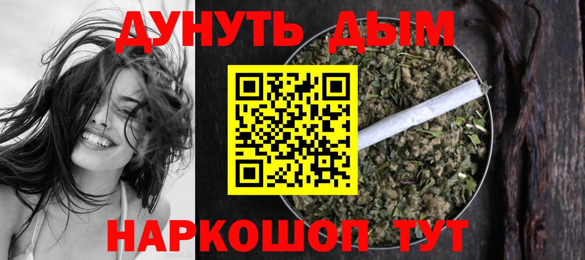 Конопля сатива Алейск
